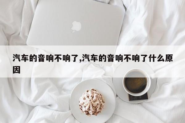 汽车的音响不响了,汽车的音响不响了什么原因
