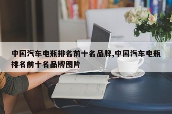中国汽车电瓶排名前十名品牌,中国汽车电瓶排名前十名品牌图片