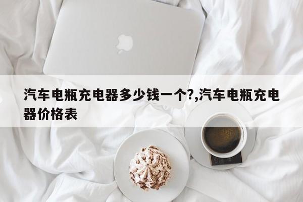 汽车电瓶充电器多少钱一个?,汽车电瓶充电器价格表
