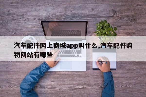 汽车配件网上商城app叫什么,汽车配件购物网站有哪些