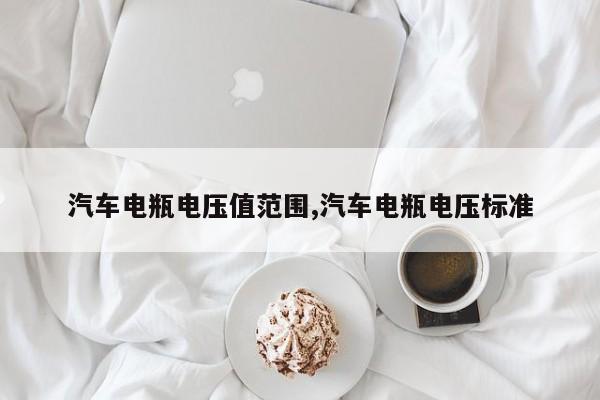 汽车电瓶电压值范围,汽车电瓶电压标准