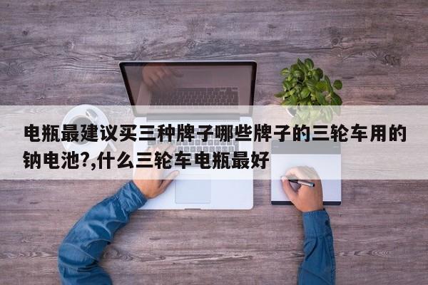电瓶最建议买三种牌子哪些牌子的三轮车用的钠电池?,什么三轮车电瓶最好