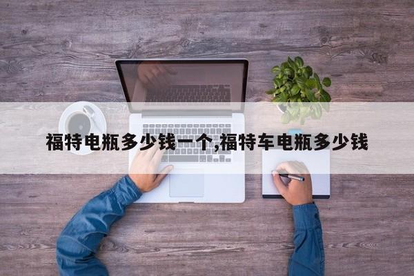 福特电瓶多少钱一个,福特车电瓶多少钱