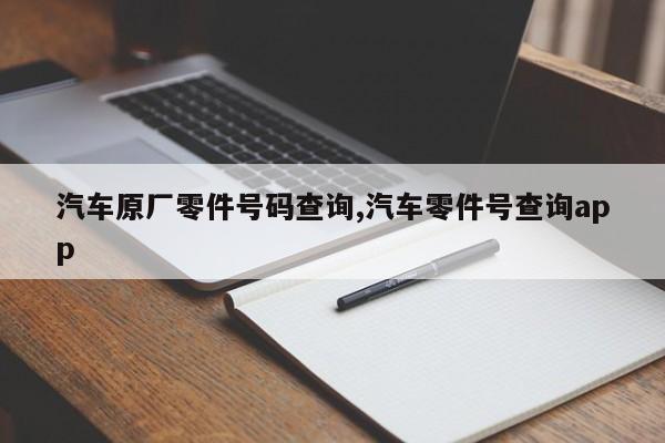 汽车原厂零件号码查询,汽车零件号查询app