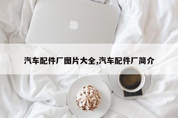 汽车配件厂图片大全,汽车配件厂简介